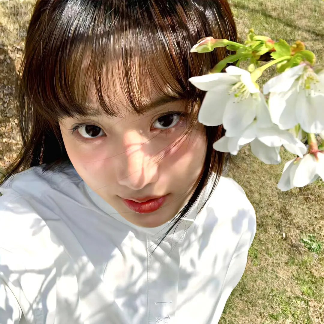 大厨小婿